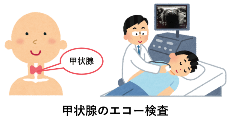 甲状腺のエコー検査のイラスト